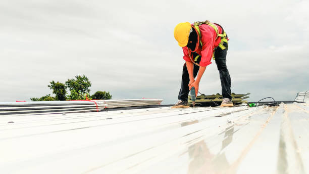 Best Storm Damage Roof Repair  in Greenwood, IN